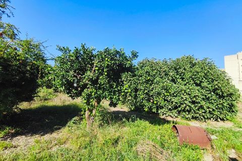 Tomt i Murcia, Murcia, Murcia - € 132 000 | Ref: EXP11404/8930 - foto 3