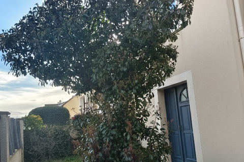 Villa i Antony, Hauts-de-Seine, Antony - € 925.000 | Ref: 85793 - foto 17