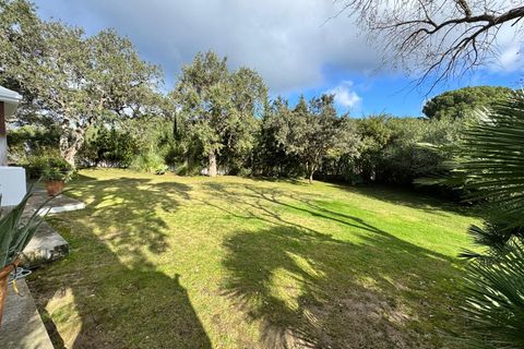 Villa i Sotogrande, Cadiz, Sotogrande - € 2.500.000 | Ref: 43845340-01/6833 - foto 15