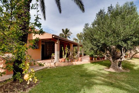 Villa i Torrevieja, Alicante, Torrevieja - € 850.000 | Ref: 741402 - foto 11