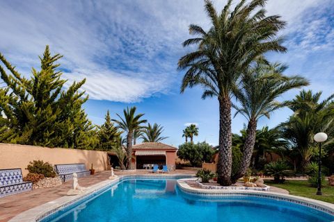 Villa i Torrevieja, Alicante, Torrevieja - € 850.000 | Ref: 741402 - foto 33