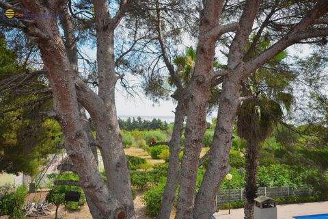 Villa i Torrevieja, Alicante, Torrevieja - € 690.000 | Ref: 740815 - foto 10