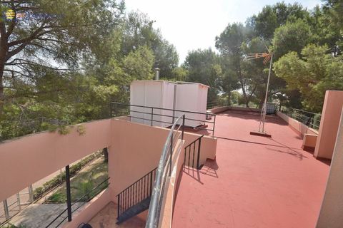Villa i Torrevieja, Alicante, Torrevieja - € 690.000 | Ref: 740815 - foto 12