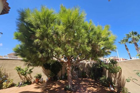 Villa i Torrevieja, Alicante, Torrevieja - € 495.000 | Ref: 744614 - foto 25