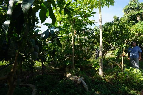 Finca i Molvizar, Granada, Molvizar - € 250.000 | Ref: MLVC564 - foto 18