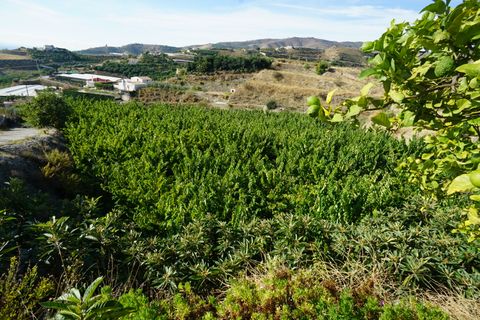 Finca i Molvizar, Granada, Molvizar - € 250.000 | Ref: MLVC564 - foto 14