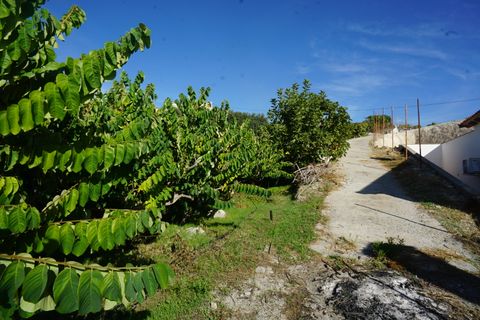 Finca i Molvizar, Granada, Molvizar - € 250.000 | Ref: MLVC564 - foto 19