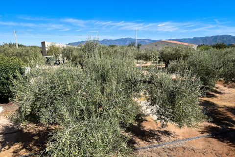 Masia a Aldover, Tarragona, Aldover - € 210.000 | Ref: 282 - foto 15