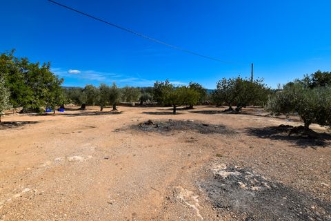 Masia a Aldover, Tarragona, Aldover - € 210.000 | Ref: 282 - foto 14