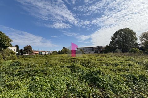 Terra a Ospedaletto Euganeo, Padua, Ospedaletto Euganeo - € 980.000 | Ref: 647MIC - foto 2