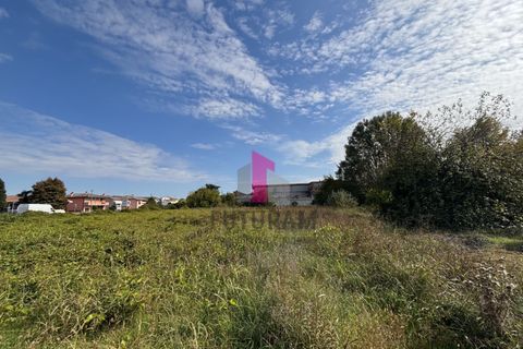 Terra a Ospedaletto Euganeo, Padua, Ospedaletto Euganeo - € 980.000 | Ref: 647MIC - foto 3