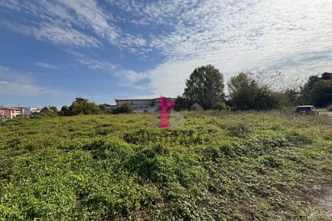 Terra a Ospedaletto Euganeo, Padua, Ospedaletto Euganeo - € 980.000 | Ref: 647MIC - foto 4