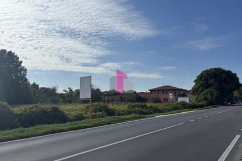 Terra a Ospedaletto Euganeo, Padua, Ospedaletto Euganeo - € 980.000 | Ref: 647MIC - foto 7