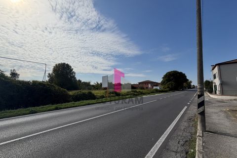 Terra a Ospedaletto Euganeo, Padua, Ospedaletto Euganeo - € 980.000 | Ref: 647MIC - foto 9