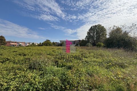 Terra a Ospedaletto Euganeo, Padua, Ospedaletto Euganeo - € 980.000 | Ref: 647MIC - foto 10