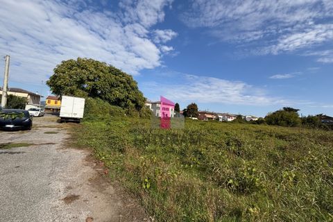 Terra a Ospedaletto Euganeo, Padua, Ospedaletto Euganeo - € 980.000 | Ref: 647MIC - foto 11