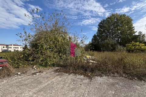 Terra a Ospedaletto Euganeo, Padua, Ospedaletto Euganeo - € 980.000 | Ref: 647MIC - foto 14