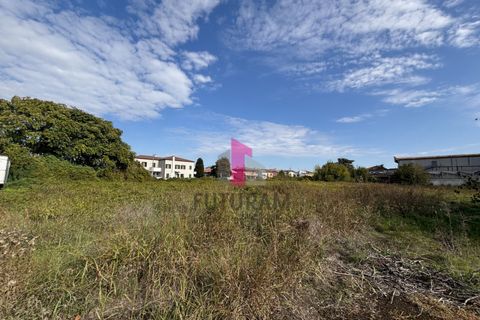 Terra a Ospedaletto Euganeo, Padua, Ospedaletto Euganeo - € 980.000 | Ref: 647MIC - foto 15