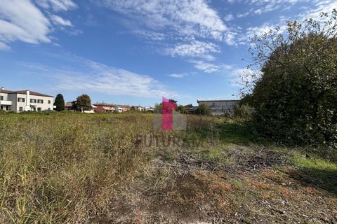 Terra a Ospedaletto Euganeo, Padua, Ospedaletto Euganeo - € 980.000 | Ref: 647MIC - foto 16