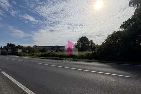 Terra a Ospedaletto Euganeo, Padua, Ospedaletto Euganeo - € 980.000 | Ref: 647MIC - foto 17