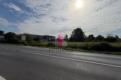 Terra a Ospedaletto Euganeo, Padua, Ospedaletto Euganeo - € 980.000 | Ref: 647MIC - foto 21