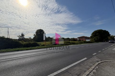 Terra a Ospedaletto Euganeo, Padua, Ospedaletto Euganeo - € 980.000 | Ref: 647MIC - foto 23