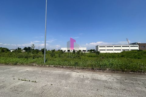 Terra a Ospedaletto Euganeo, Padua, Ospedaletto Euganeo - € 250.000 | Ref: 641MIC - foto 9