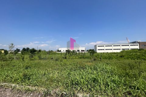 Terra a Ospedaletto Euganeo, Padua, Ospedaletto Euganeo - € 250.000 | Ref: 641MIC - foto 12