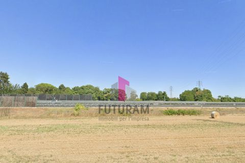 Helårsgrund i Limena, Padua, Limena - € 305.000 | Ref: 644MIC - foto 2