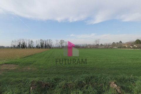 Helårsgrund i Limena, Padua, Limena - € 305.000 | Ref: 644MIC - foto 5