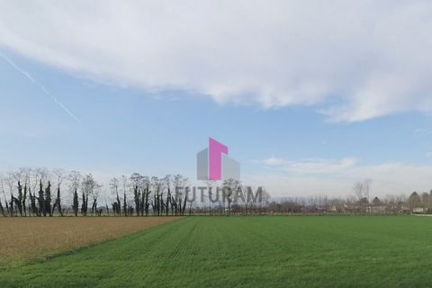 Helårsgrund i Limena, Padua, Limena - € 305.000 | Ref: 644MIC - foto 6