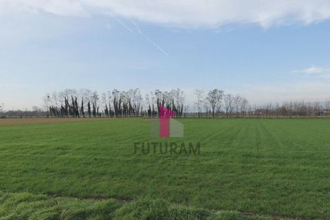 Helårsgrund i Limena, Padua, Limena - € 305.000 | Ref: 644MIC - foto 7