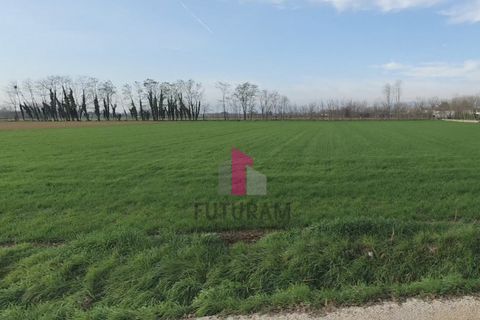 Helårsgrund i Limena, Padua, Limena - € 305.000 | Ref: 644MIC - foto 8