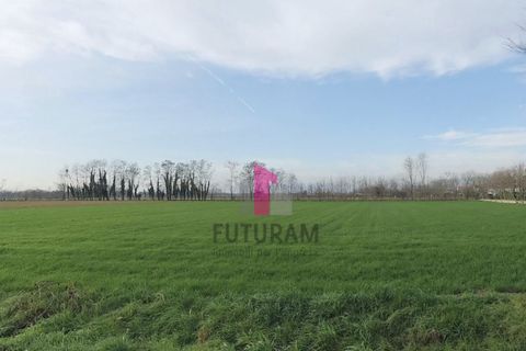 Helårsgrund i Limena, Padua, Limena - € 305.000 | Ref: 644MIC - foto 9