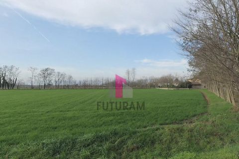 Helårsgrund i Limena, Padua, Limena - € 305.000 | Ref: 644MIC - foto 10