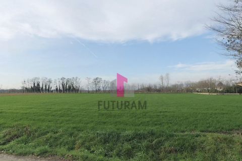 Helårsgrund i Limena, Padua, Limena - € 305.000 | Ref: 644MIC - foto 11