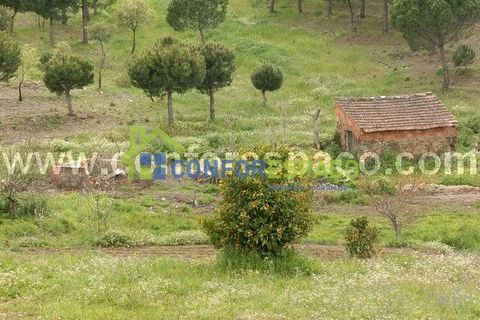 Landejendom i Castelo Branco, Castelo Branco, Castelo Branco - € 375.000 | Ref: 13067 - foto 1