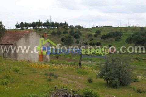 Landejendom i Castelo Branco, Castelo Branco, Castelo Branco - € 375.000 | Ref: 13067 - foto 2
