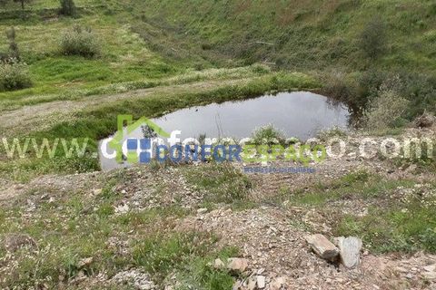 Landejendom i Castelo Branco, Castelo Branco, Castelo Branco - € 375.000 | Ref: 13067 - foto 3