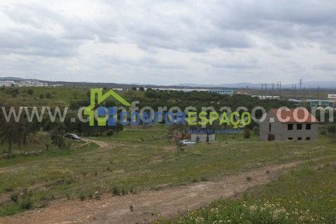 Landejendom i Castelo Branco, Castelo Branco, Castelo Branco - € 375.000 | Ref: 13067 - foto 4