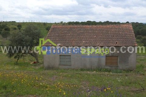 Landejendom i Castelo Branco, Castelo Branco, Castelo Branco - € 375.000 | Ref: 13067 - foto 6