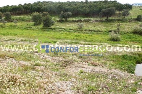 Landejendom i Castelo Branco, Castelo Branco, Castelo Branco - € 375.000 | Ref: 13067 - foto 8