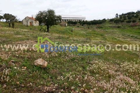 Landejendom i Castelo Branco, Castelo Branco, Castelo Branco - € 375.000 | Ref: 13067 - foto 9