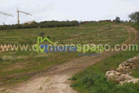 Landejendom i Castelo Branco, Castelo Branco, Castelo Branco - € 375.000 | Ref: 13067 - foto 11