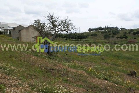 Landejendom i Castelo Branco, Castelo Branco, Castelo Branco - € 375.000 | Ref: 13067 - foto 12