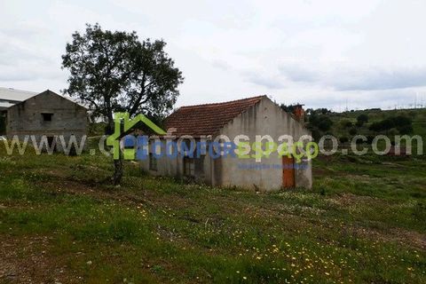 Landejendom i Castelo Branco, Castelo Branco, Castelo Branco - € 375.000 | Ref: 13067 - foto 14