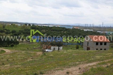 Landejendom i Castelo Branco, Castelo Branco, Castelo Branco - € 375.000 | Ref: 13067 - foto 15