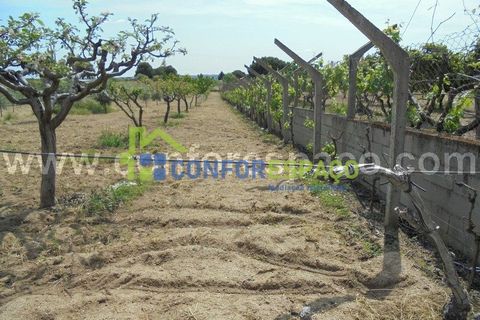 Helårsgrund i Castelo Branco, Castelo Branco, Castelo Branco - € 100.000 | Ref: 19048 - foto 3