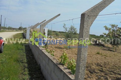 Helårsgrund i Castelo Branco, Castelo Branco, Castelo Branco - € 100.000 | Ref: 19048 - foto 5