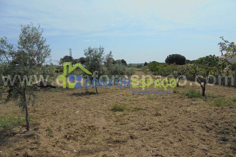 Helårsgrund i Castelo Branco, Castelo Branco, Castelo Branco - € 100.000 | Ref: 19048 - foto 6